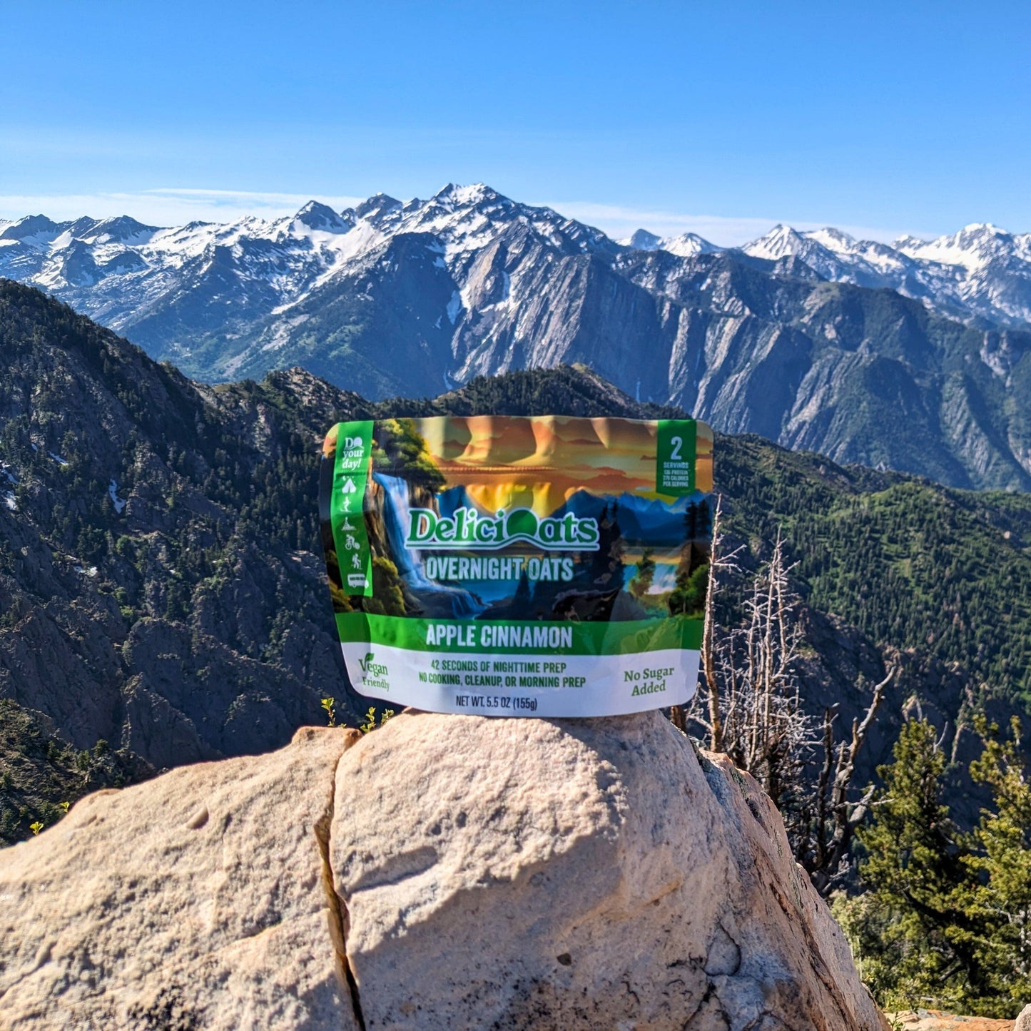 DeliciOats Food Items DeliciOats™ Apple Cinnamon