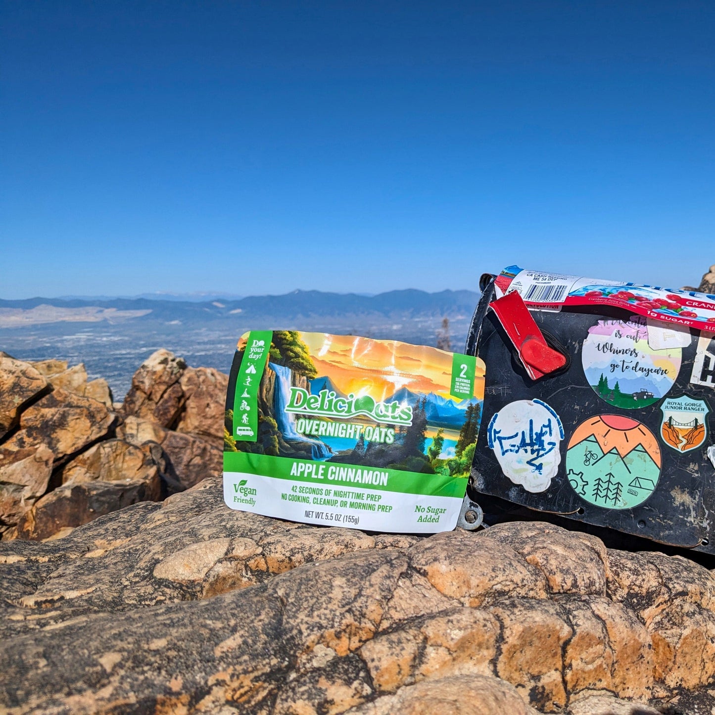 DeliciOats Food Items DeliciOats™ Apple Cinnamon