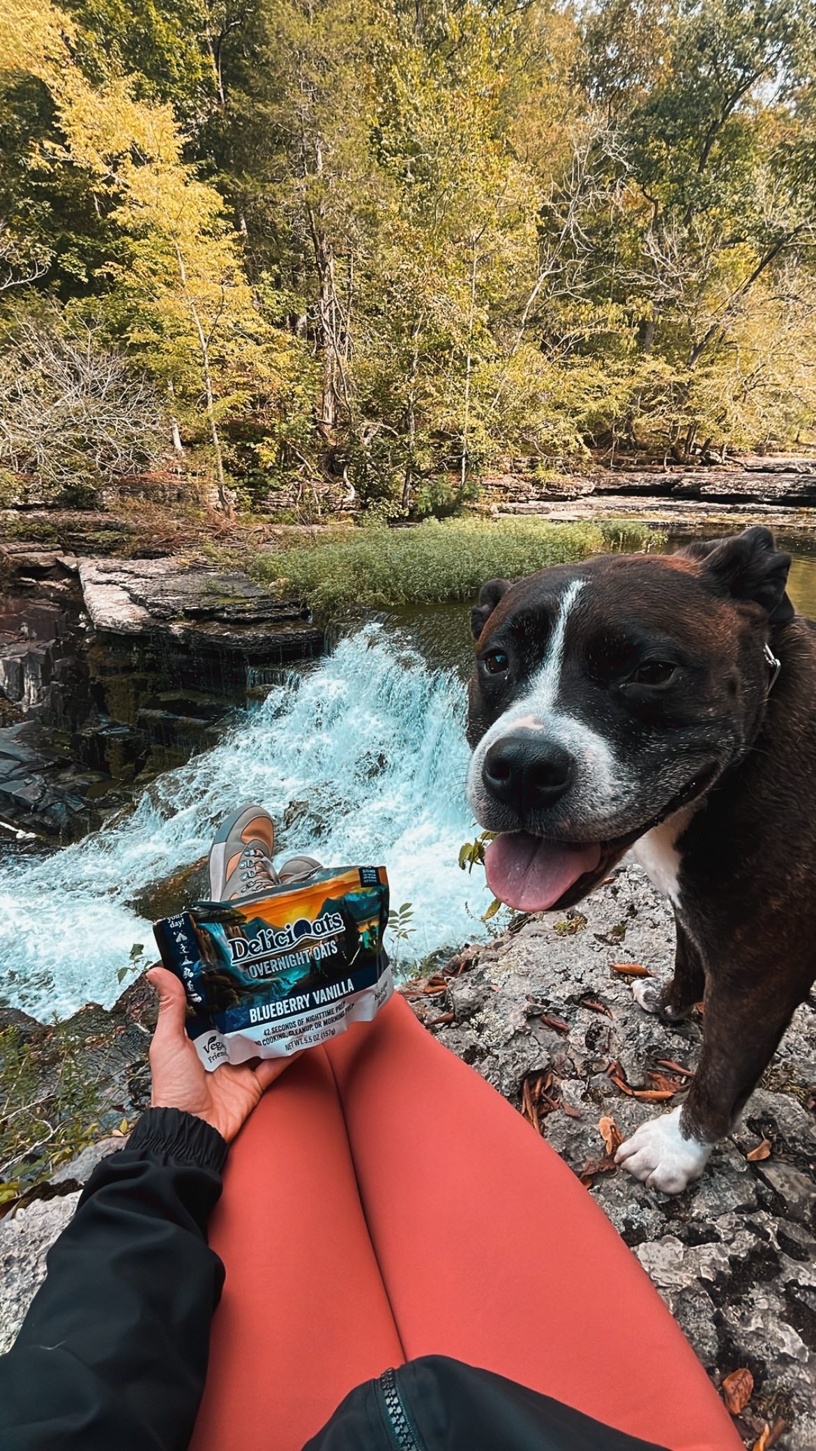 Blueberry Vanilla DeliciOats on lap, with dog and waterfall in background